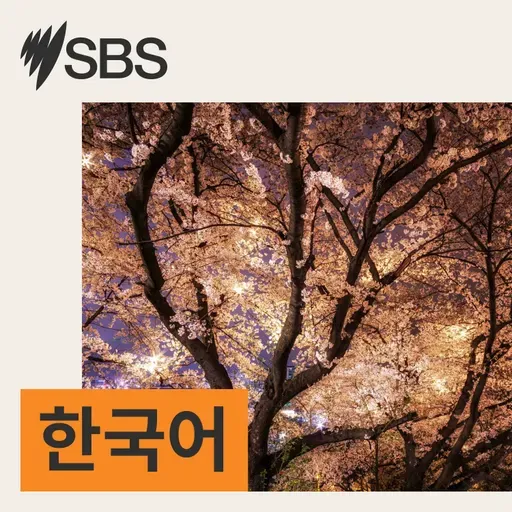 2025년 9월 8일 월요일 SBS 한국어 프로그램
