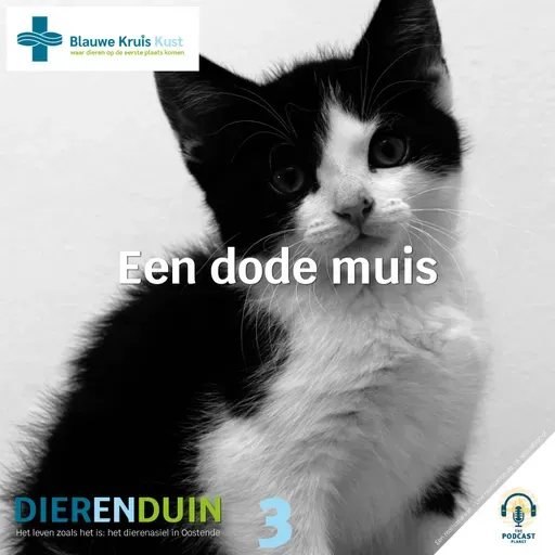 Dierenduin - aflevering 3