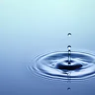 Οι κριτές των... κριτών