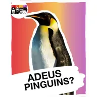Declínio dos pinguins é pior do que imaginávamos!