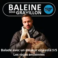 S07E05 Balade avec un éleveur-cinéaste 1/5 : Les races anciennes (Rémi Dupouy)