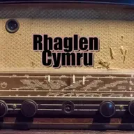 Diolch Dewi Llwyd