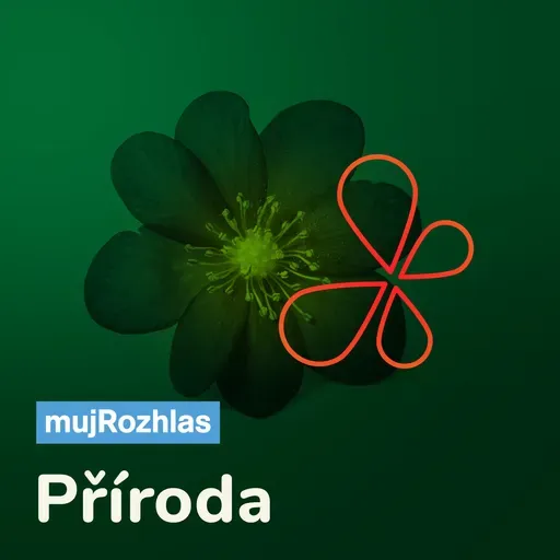 Od Pradědu na Hanou: (Vá)noční procházka Zábřehem může být nečekaným zážitkem pro ty, co se umí dívat