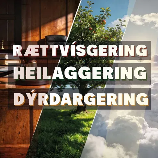 3/3 Dýrdargering - Jens Bech