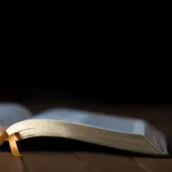 Meditación del Evangelio – 07 de  mayo de 2026