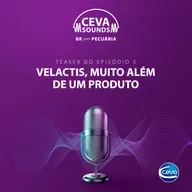 Serie Manejo de Secagem #5 Velactis, muito além de um produto