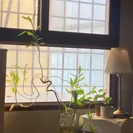 ١٨٤| كلما تحركت كلما زانت