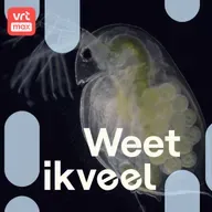Watervlooien