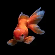 Лайв истории  2026-01-05 07:40