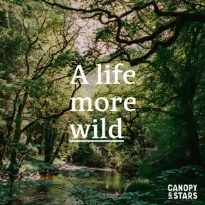 A Life More Wild