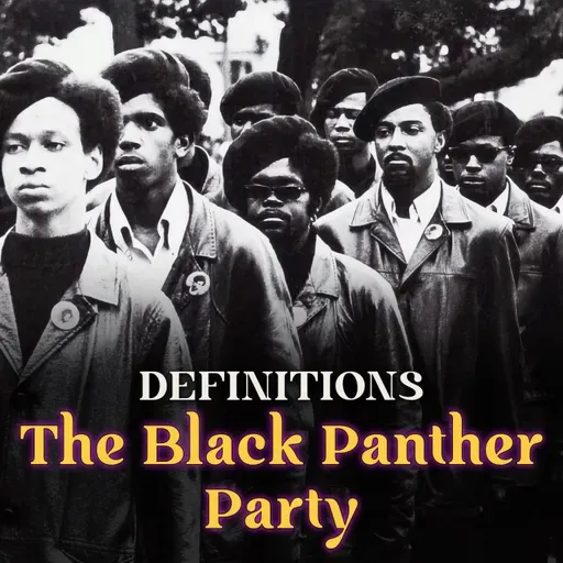 Definitions: is the Black Panther Party?