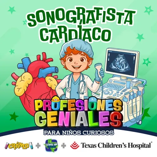 Cómo el ultrasonido ‘ve’ dentro del cuerpo (sonografista cardíaco)