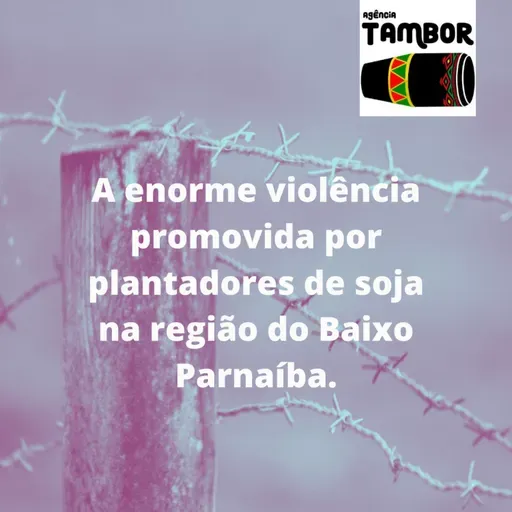 A enorme violência promovida de diversas formas por plantadores de soja (agronegócio), na região do Baixo Parnaíba.