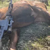 Bolt Gun University pt 2 - Triggers Safeties Muzzles - Guide to Practical Bolt Actions