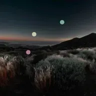 Chant des Cigales au Crépuscule du Pacifique | Ambiance Nocturne