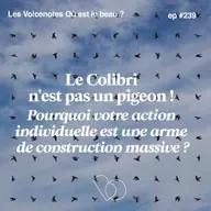 #239 - Le Colibri n'est pas un pigeon : pourquoi votre action individuelle est une arme de construction massive ?  [ Voice Note Gratuite ]