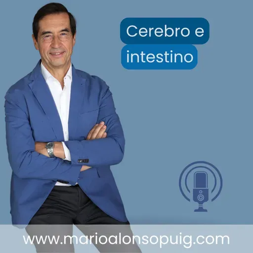Tu intestino influye en tu estado de ánimo: microbiota, ansiedad y cerebro