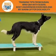 Training Tips From Susan: Mini Q&A With Susan: Body Awareness Exercises And My Warm-Up For Dog Agility