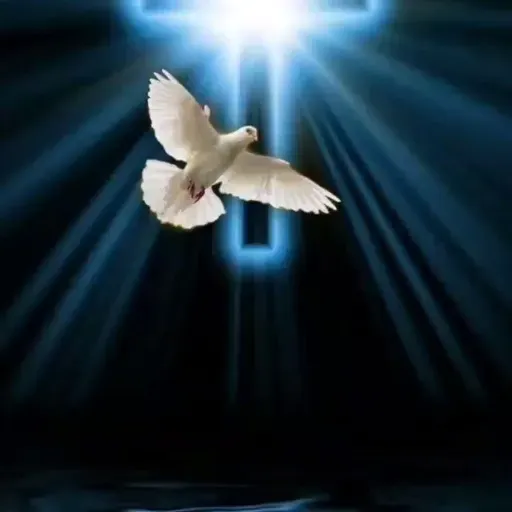 el amigo que le ayuda.mp3