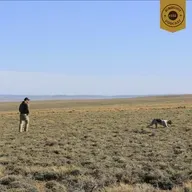 #332 | Hunting and Researching Upland Birds on Working Western Landscapes with Dave Dahlgren
