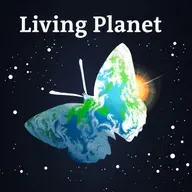 The truly amazing world of fungi (Rebroadcast)