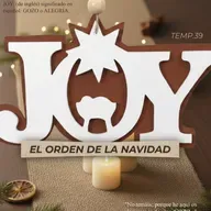 VIVE TU DISEÑO T39 E1 | "JOY" Jesús
