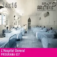 L'Hospital General| Font de Misteris 14x16 (637)