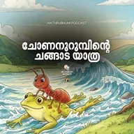 ചോണനുറുമ്പിന്റെ ചങ്ങാട യാത്ര | മിന്നാമിന്നിക്കഥകൾ | Podcast