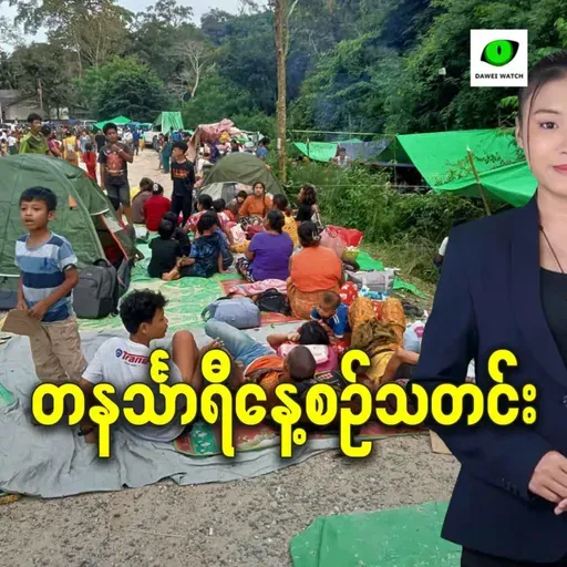 နိုဝင်ဘာလ ၁၂ရက် တနင်္သာရီနေ့စဉ်သတင်း အစီအစဉ်