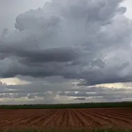 Le journal du 07 mai 2026 - Point de presse météo et rareté de la mangue dans la localité de Say