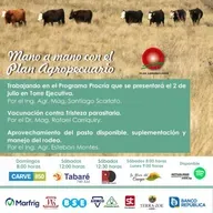 Procría. Vacunación contra tristeza parasitaria. Aprovechamiento de pasto disponible, suplementación y manejo de rodeo.