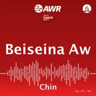 The Skeptical Theist // Pasian Up Phatlohna.