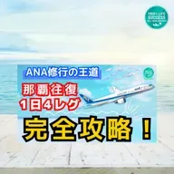 【2025年 最新】ANAのPP獲得で那覇往復！ルートからポイント完全解説！