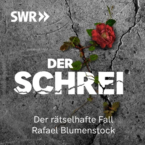 Trailer: Der Schrei – Der rätselhafte Fall Rafael Blumenstock