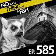 585: No Such Thing As The Paula Radcliffe Of F1 Racing