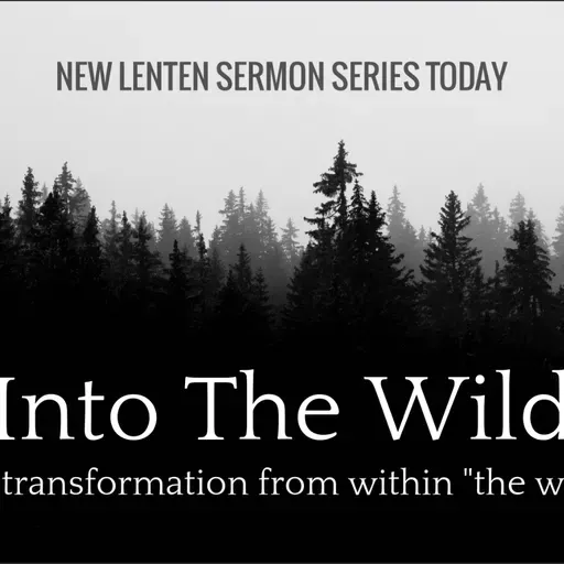 John The Baptist: Preparing The Way- Wilderness As Prophetic Clarity (Audio)