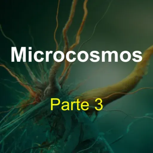 Microcosmos (parte 3) 