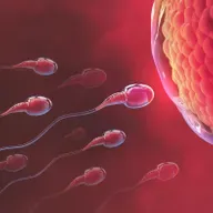 Sex: A Spicy Problem for Evolutionary Theory