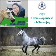 #192 Filmowe konie cz.3 – Lotna – opowieść o bólu wojny