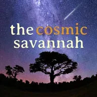 Cosmic Savannah Ep. 74: Simulating Cosmic Nurseries