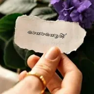 മായാമയൂരി