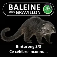 S07E137 Le Binturong 3/3 : Un inconnu pourtant si célèbre...