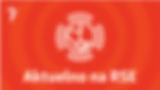 Regionalni program