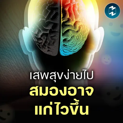 Cheap Dopamine ความสุขราคาถูก ที่อาจทำให้สมองแก่ไวขึ้น | MM EP.2579