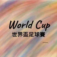 N11 World Cup ⚽️ 世界盃足球賽