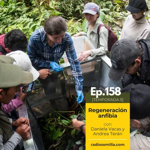 158: Regeneración anfibia, con Daniela Vacas y Andrea Terán