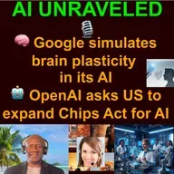 AI Weekly Business & News Rundown: 🧠 Google simulates brain plasticity in its AI 🤖 OpenAI asks US to expand Chips Act for AI & more