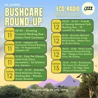 Edible Weeds - Fungi4Land