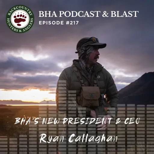 BHA's NEW President & CEO Ryan Callaghan