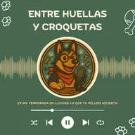 Temporada de lluvias: lo que tu peludo necesita